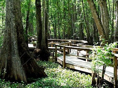 Nature Boardwalk at Camp Kulaqua Retreat and Conference Center, FL 